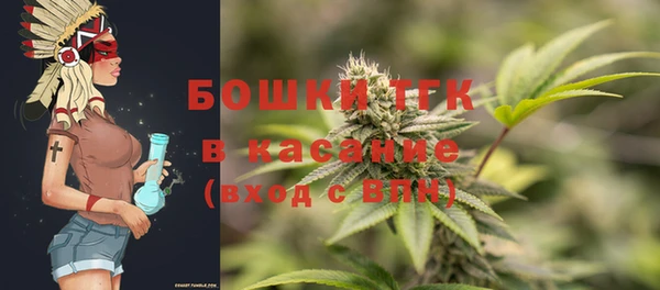 дмт Осташков