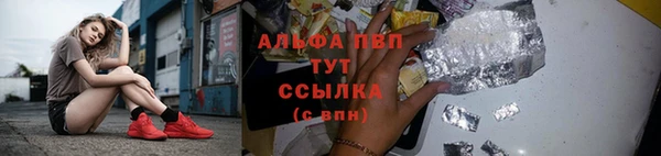 PSILOCYBIN Остров